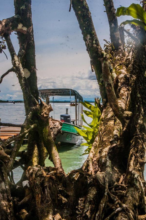 Dona Mara Gastro Hotel Bocas del Toro Exterior photo